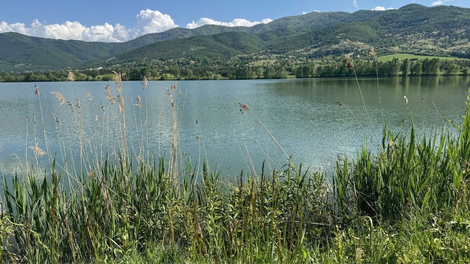 a cozy joyful nature